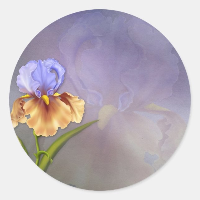 Adesivo Iris Dream (Frente)