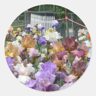 Adesivo Iris Garden