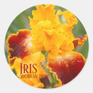Adesivo Iris "Round Seal" ラ ウ ン ド ル