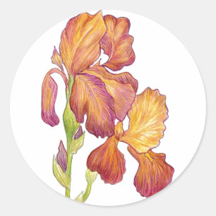 Adesivo Iris Sticker do Artista