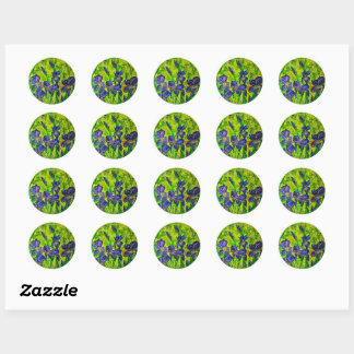 Adesivo Iris Stickers