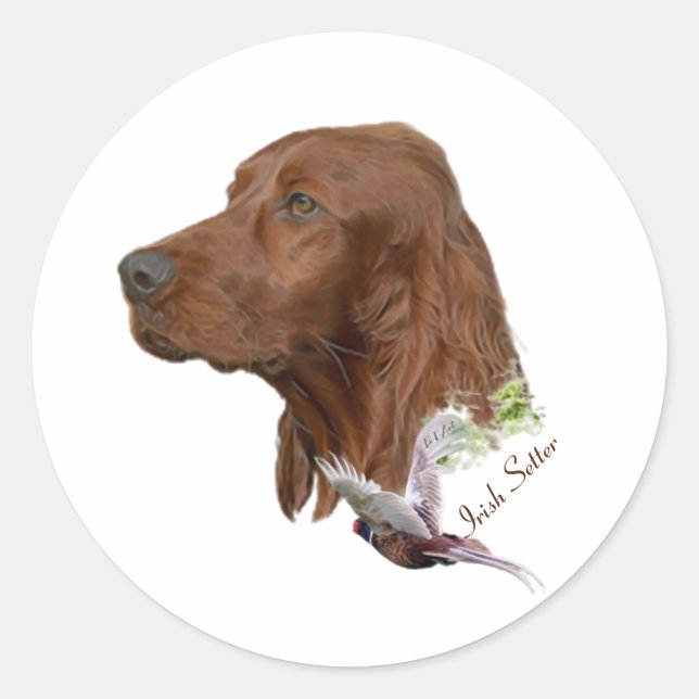 Adesivo Irish Setter (Frente)