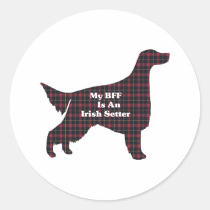 Adesivo Irish Setter BFF Sticker