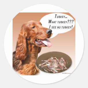 Adesivo Irish Setter Turkey