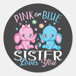 Adesivo Irmã Rosa Ou Azul Te Ama Bebê Elefante