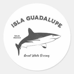 Adesivo Isla Guadalupe, Excelente de Tubarão Branco, em ap