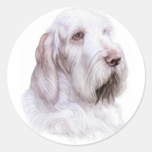 Adesivo Italiano Spinone Italiano