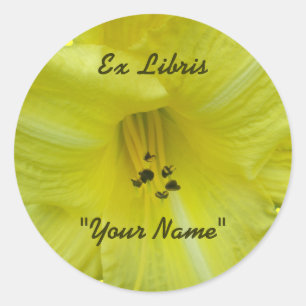 Adesivo Itens de Coordenação Diária Amarelo