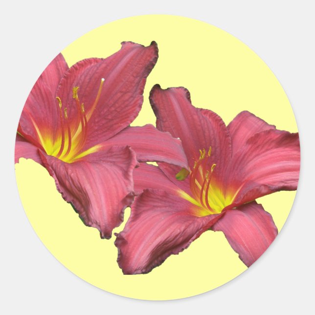 Adesivo Itens de Coordenada do Red Daylily (Frente)