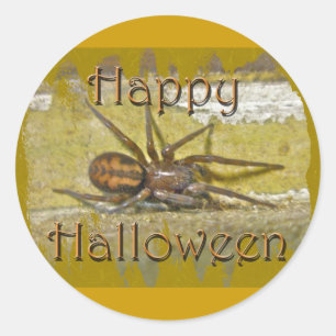 Adesivo Itens de Coordenadas de Feriado do Spider Hallowee