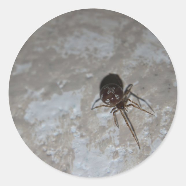 Adesivo Itsy Bitsy Spider #3 (Frente)