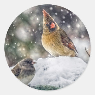 Adesivo I've obteve meu olho em você