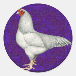 Adesivo Ixworth Rooster
