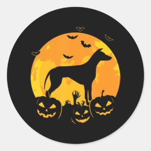 Adesivo Jack Greyhound Halloween Lanterna Pumpkin