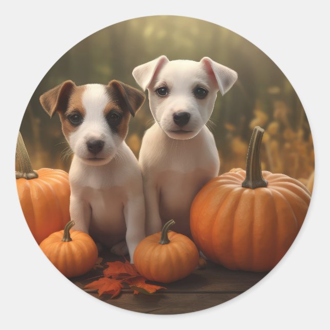 Adesivo Jack Russell Puppy Autumn Delight Pumpkin (Frente)