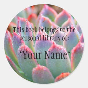 Adesivo Jade Succulent Personal Library Sticker