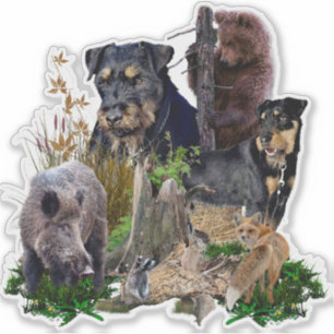 Adesivo Jagdterrier Apache v. Renbrad.