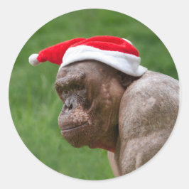 Adesivo Jambo em um Chapéu de Natal