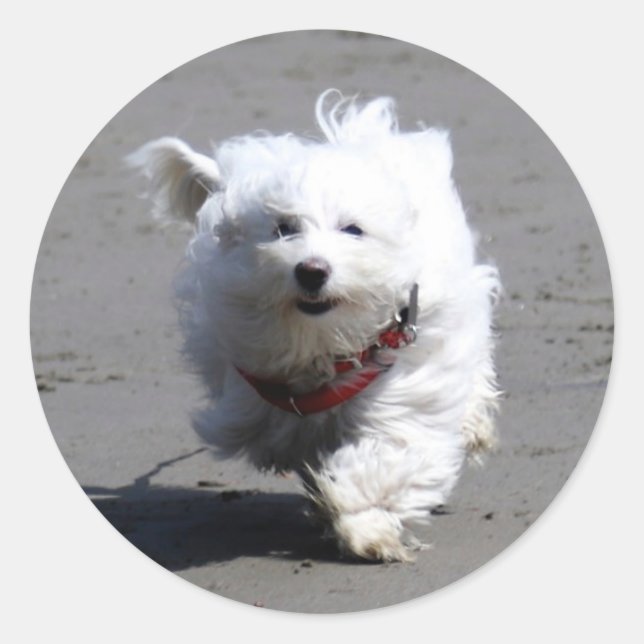 Adesivo Jan Sticker (Frente)