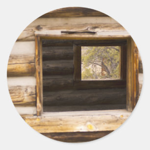 Adesivo Janela Por Cima e Através da Cabina