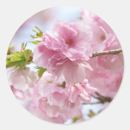 Adesivo Japanese cherry blossoms