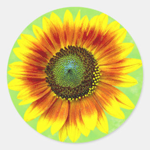 Adesivo Jardim amarelo do girassol e verde floral