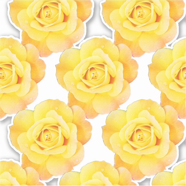 Adesivo Jardim das Flores Rosa Padrões Amarelas (Frente)
