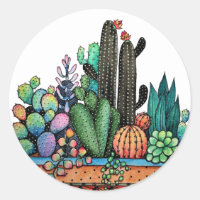 Jardim De Cactus Caquetado Em Pote