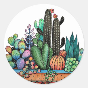 Adesivo Jardim De Cactus Caquetado Em Pote