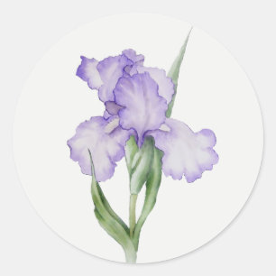 Adesivo Jardim de Íris Roxa Flor Arte Floral