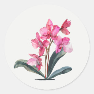 Adesivo Jardim de Orquídea Rosa Arte Floral
