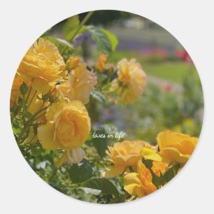 Adesivo Jardim de Rosas Amarelas