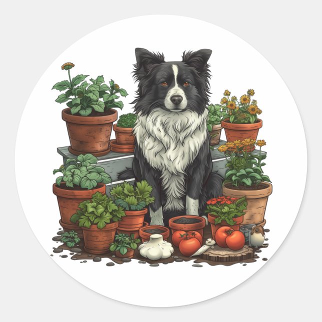Adesivo Jardinagem de Collie de Borda Corta (Frente)