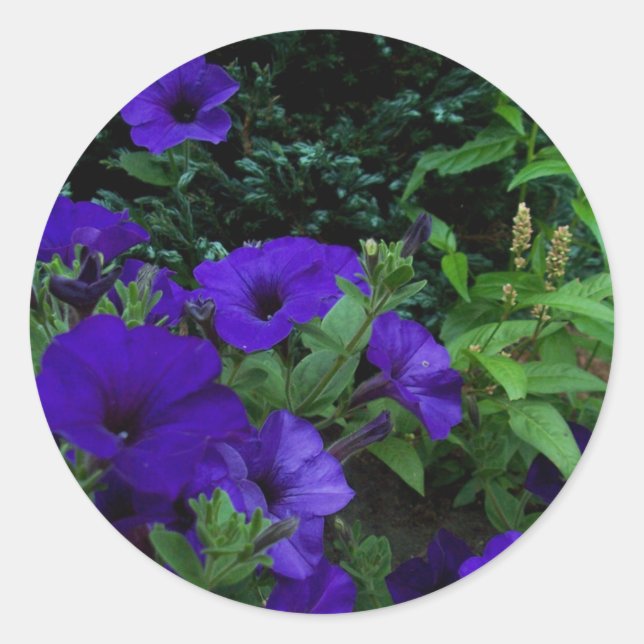 Adesivo Jardins de Verão BC 3 (Frente)