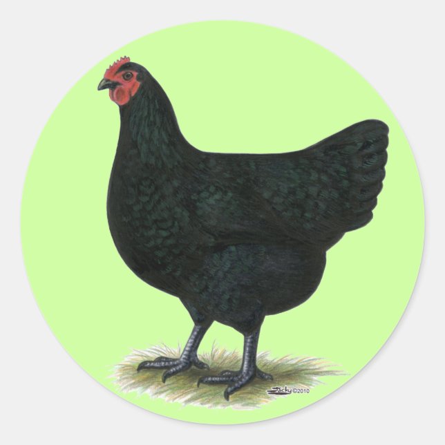 Adesivo Jersey Giant: Black Hen (Frente)