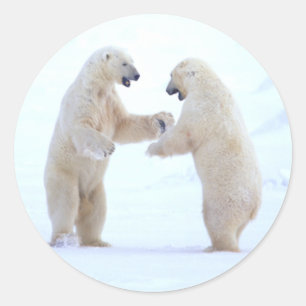 Adesivo Jogo do urso polar