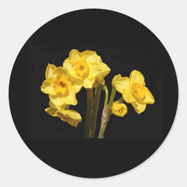 Adesivo Jonquil Flowers Stickers (Frente)