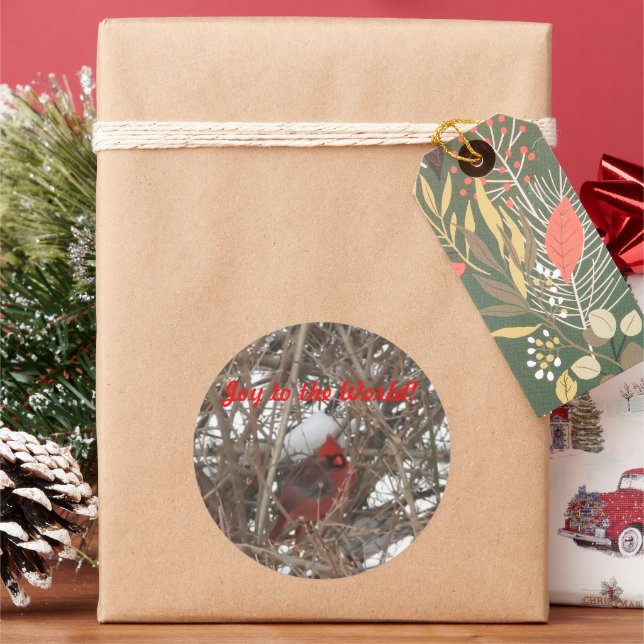 Adesivo Joy para o Cardeal Mole Vermelha (Feriado)