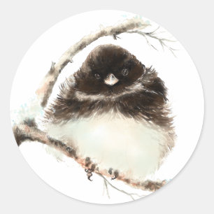 Adesivo Junco pequeno bonito, pássaro da natureza da