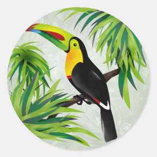 Adesivo Jungle Toucan