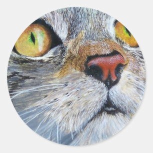 Adesivo Júnior o gato