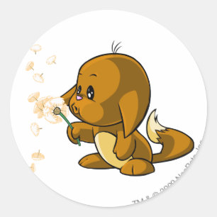 Adesivo Kacheek Brown