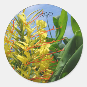 Adesivo Kahili Ginger Envelope Selos/ Stickers