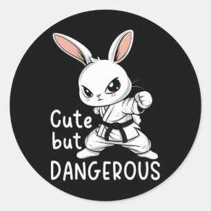 Adesivo Karate Bunny Cute Mas Artes Marciais Engraçadas Pe