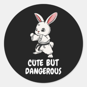 Adesivo Karate Bunny Cute Mas Artes Marciais Engraçadas Pe