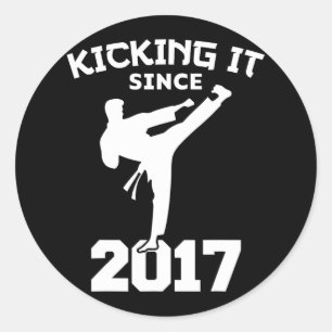 Adesivo Karate Martirizam Desde Engraçado Kid Bir
