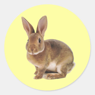 Adesivo Kawaii Cute Bunny Rabbit