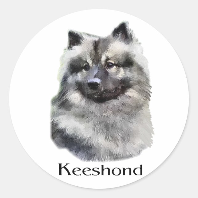 Adesivo Keeshond Art Gifts (Frente)