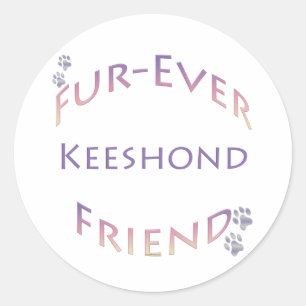 Adesivo Keeshond Fuore