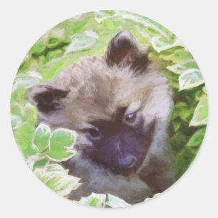 Adesivo Keeshond Puppy na Pintura Original